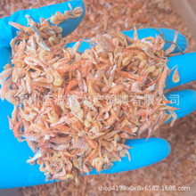 淡水虾干宠物饲料鱼食鱼饲料烤干烘干小红虾龟粮龟饲料仓鼠粮