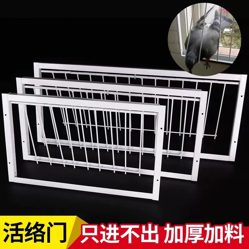 鸽子用品用具们撞门帘子门赛鸽信鸽子笼鸽棚鸽舍养鸟笼鸽舍配件