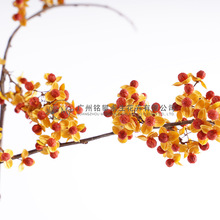 �������ٹ��䡿��Ȼ�ɻ������ٱP�����ϼҾ�ܛ�b�Ӱ��g�廨���