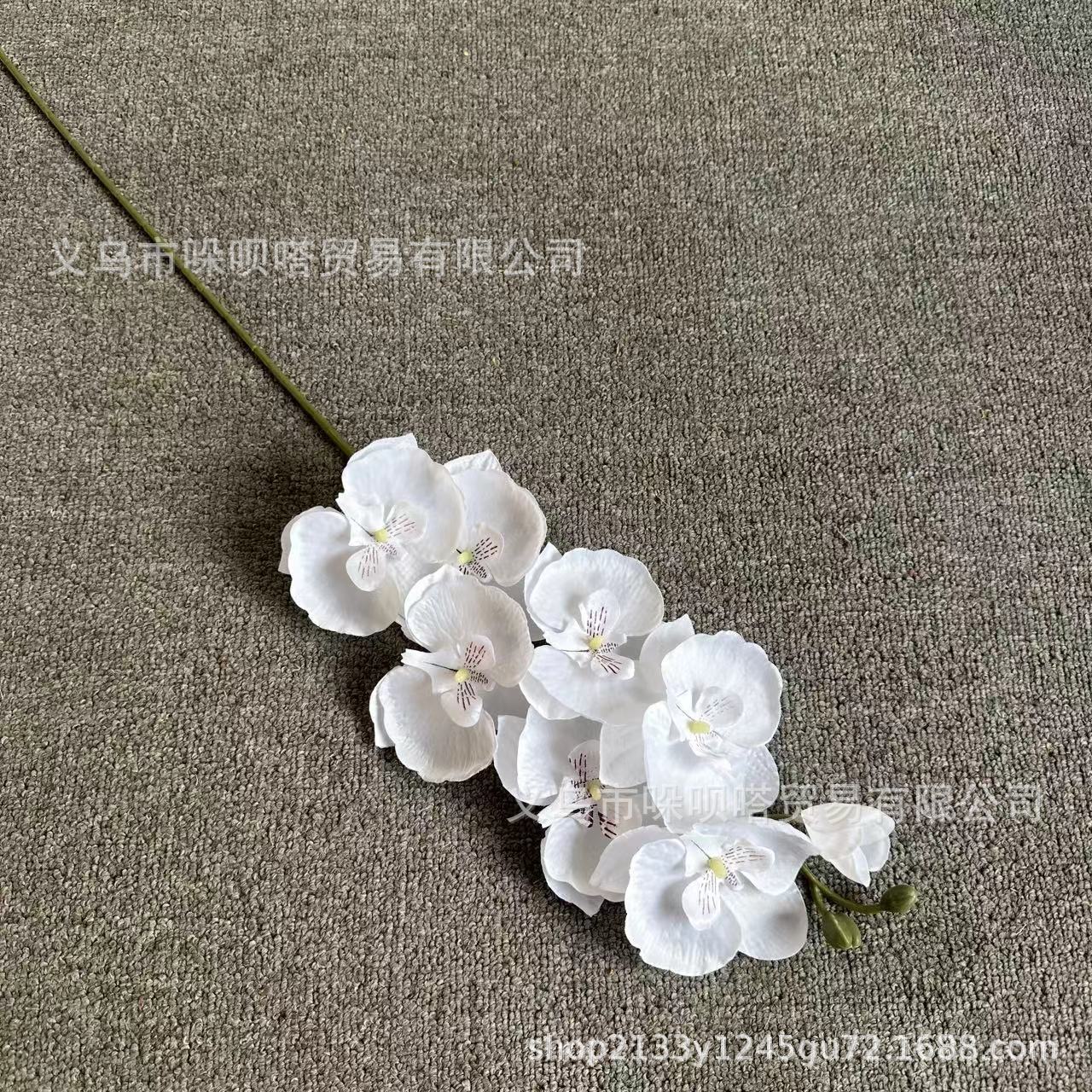 8 실크 호접란-흰색