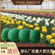 ֲ�����پWС�[���[�۲˷Nֲ�������W�ջ��W�S�϶��Ƿ��������W