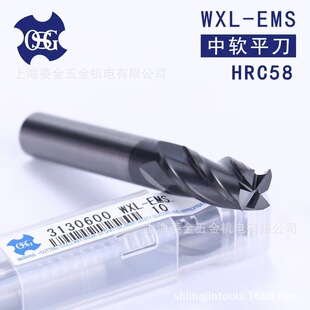 ���lOSG �ӉT�ӺϽ�㊵� OSG�z�FWX-EMS