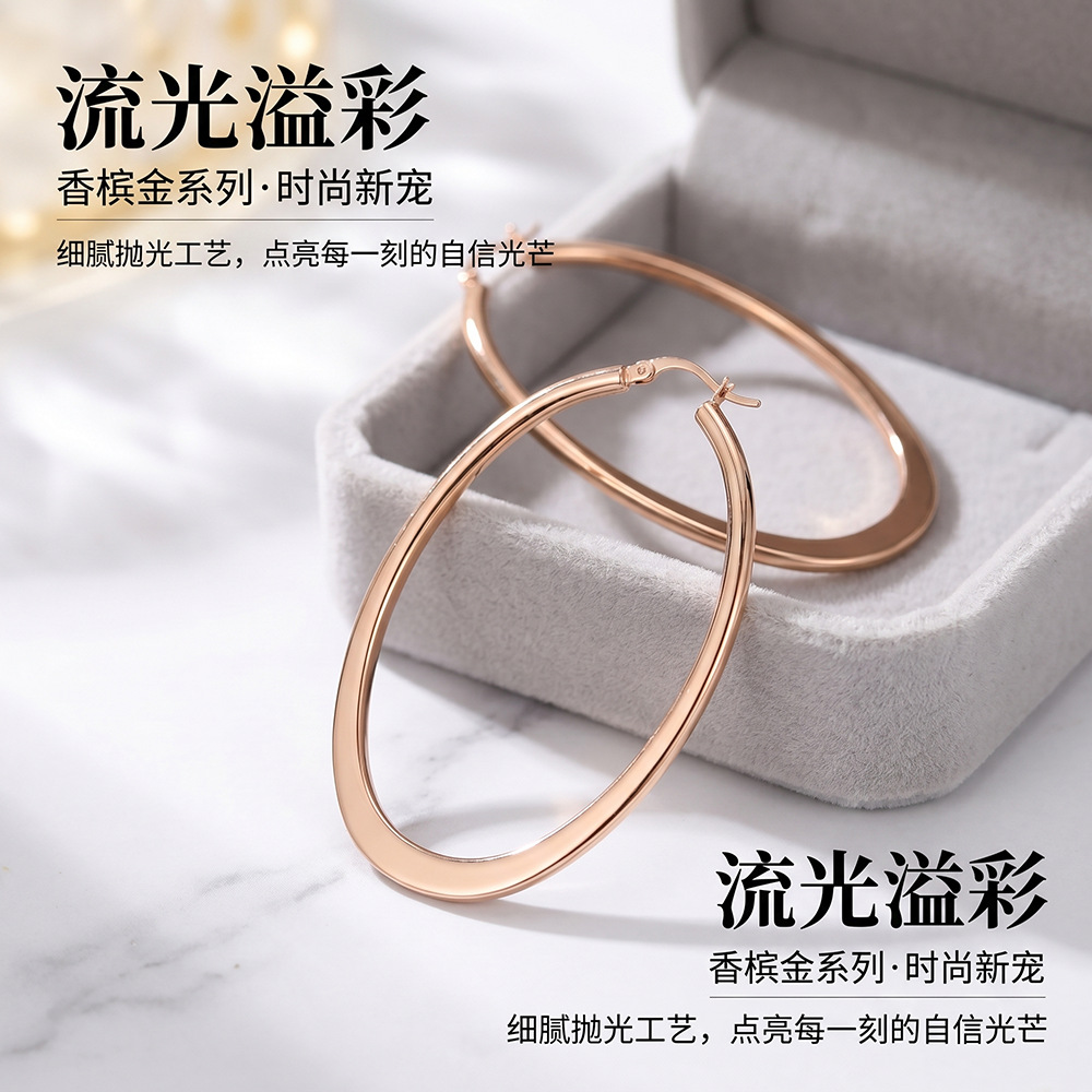 European and American Cross-Border Hot-Selling Ins Light Luxury Fashion Exaggerated Geometric Hoop Earrings, Unique Minimalist Earrings, Plain Hoop Ear Accessories