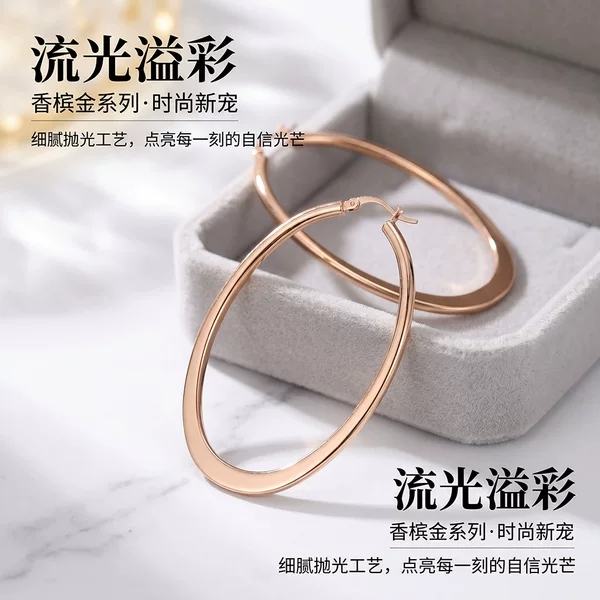 European and American Cross-Border Hot-Selling Ins Light Luxury Fashion Exaggerated Geometric Hoop Earrings, Unique Minimalist Earrings, Plain Hoop Ear Accessories