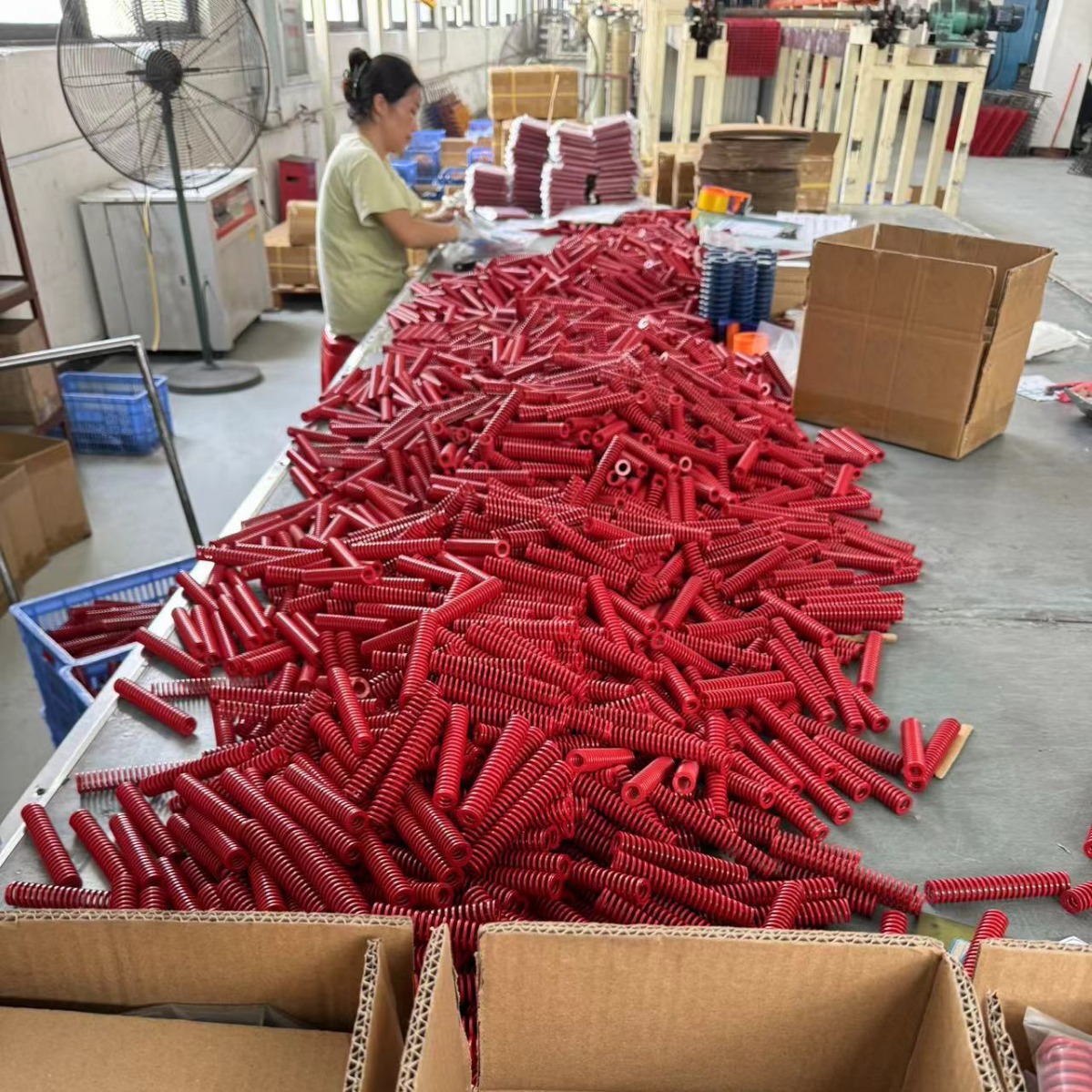 2024-09-21 09:29:19.jpg