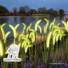 仿真狗尾巴草暖光庭院灯户外装饰景观灯夜市花园适用新款草地灯