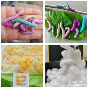 ���B�Q�B�Q10�r��̌W�W�B�Q���Q������̌W�������������QӼ�Q