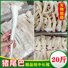 新鲜冷冻猪尾巴 猪短尾猪中尾猪长尾 20斤 无根猪尾 饭店卤菜食材