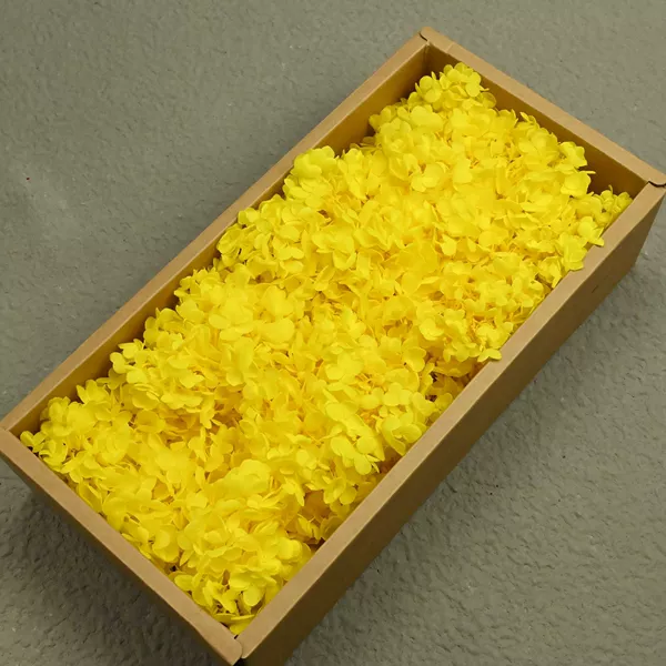 AB wood hydrangea yellow (100g)