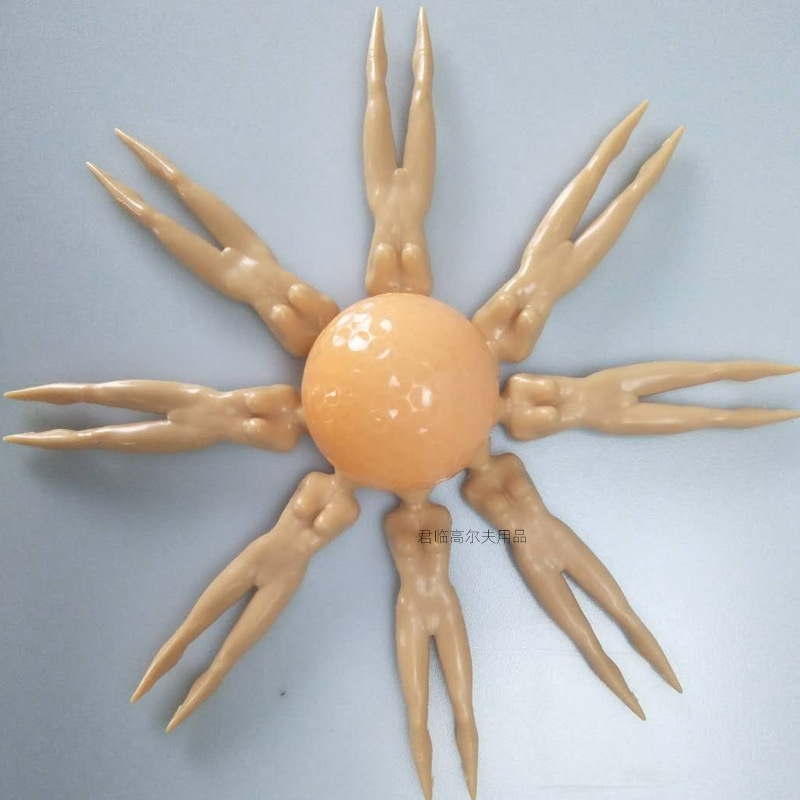 �¿�߶����򶤸߶������˶��ܽ��򶤸߶�����Ů��TEE