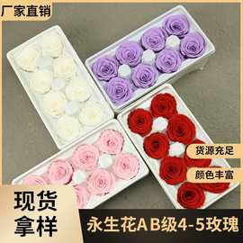 幻花永生花AB级4-5玫瑰整盒diy花材材料包玻璃罩情人节独角兽