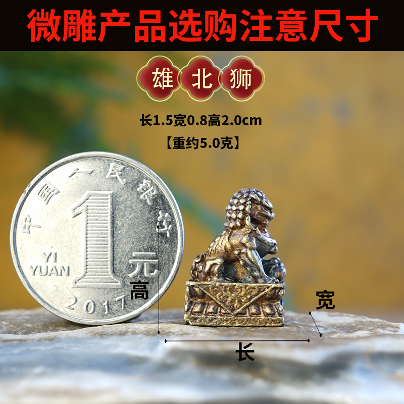Champagne color—Male Northern Lion [HJ033]