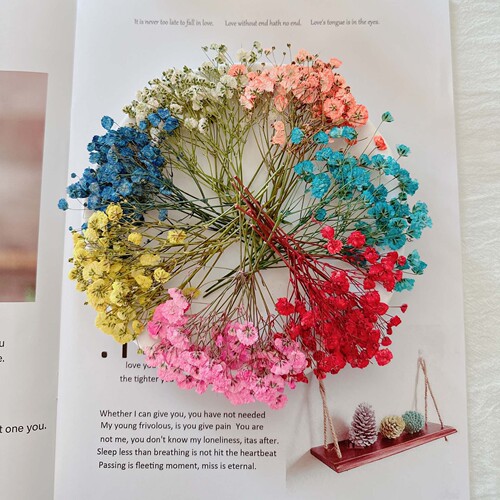 Dried flowers, DIY, embossed, starry sky material bag, photo, petals, bookmarks, real flowers, glue, plant specimens
