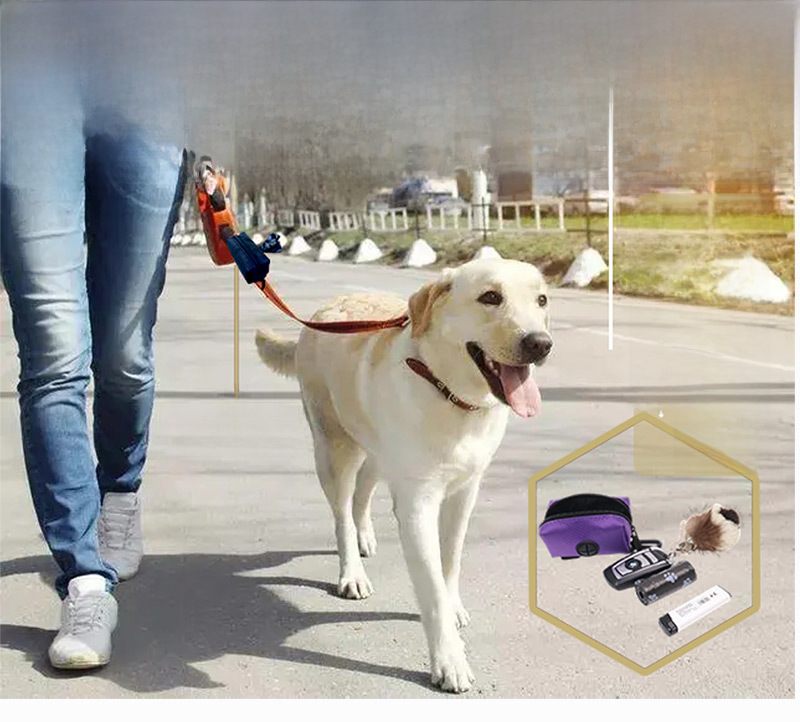 Pet Waste Bag Distributor Image 2