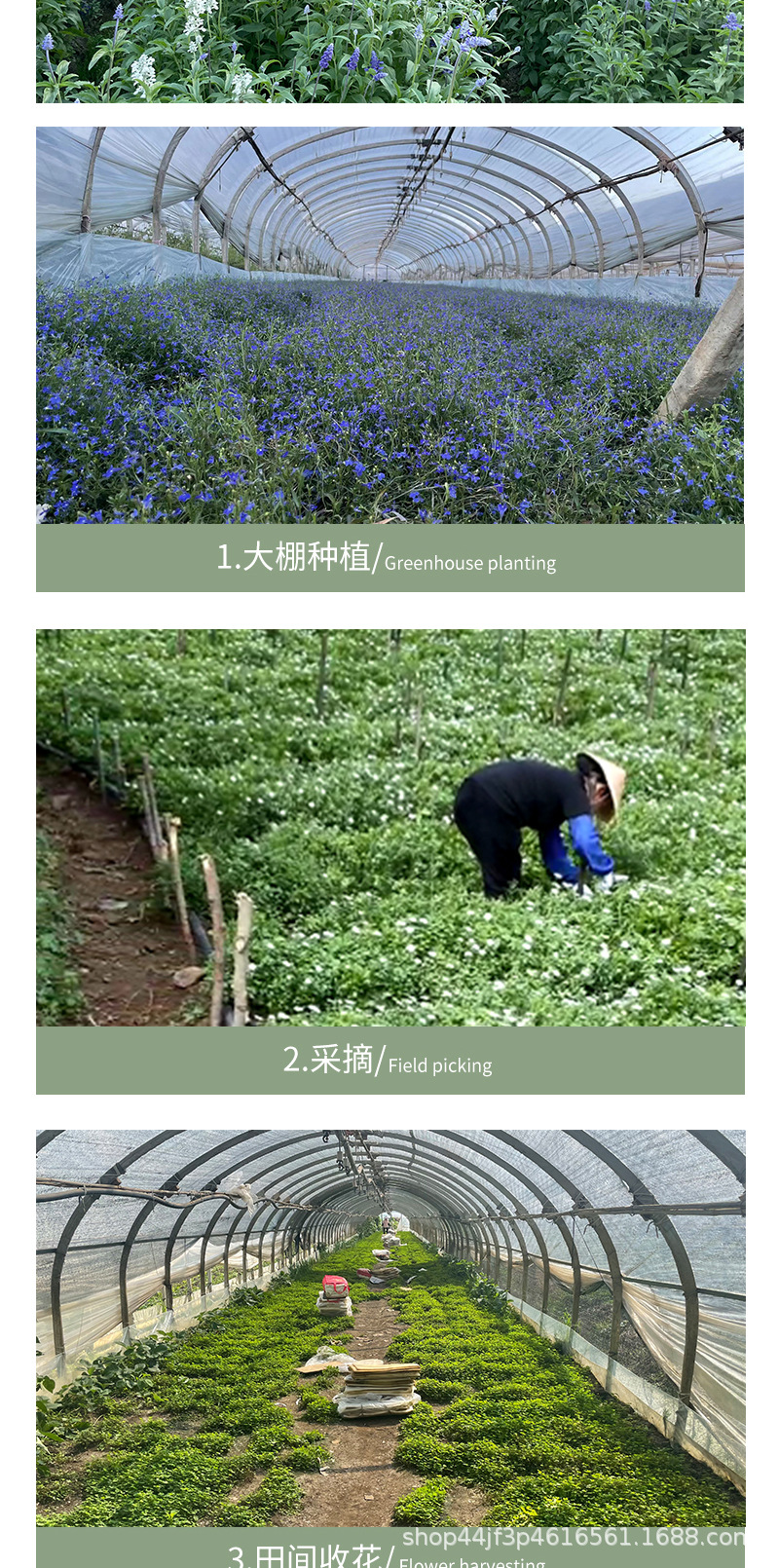 详情页_13.jpg