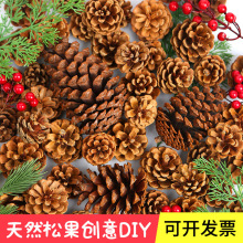 ��Ȼ�ɹ��}�Q���b��Ұ��ԭɫ�����׃��@�ֹ�����diy�h������