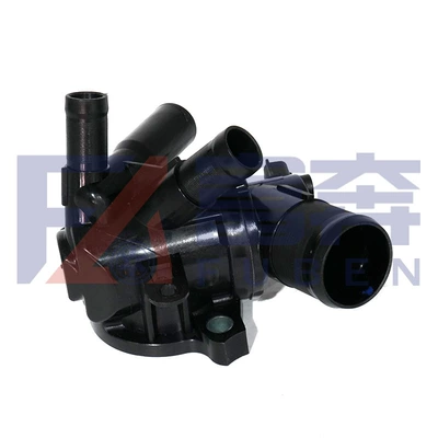 110617250R is suitable for Thermostat