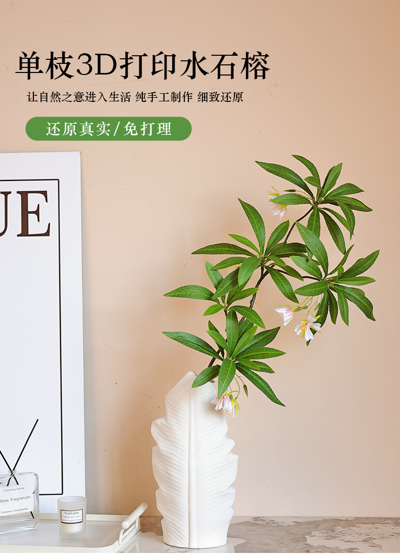 单枝3D打印水石榕_01.jpg