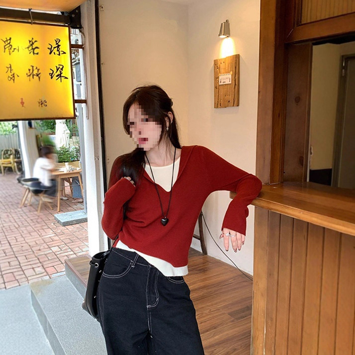连帽打底衫女秋冬内搭可外穿2025新款上衣假两件针织衫设计感毛衣|undefined