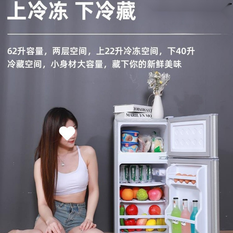 送货入户冰箱家用双门小型二人迷你冰柜冷冻冷藏宿舍租房节能|undefined