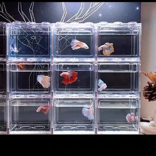Thai Betta Fish Tank Box Cup Bottle Building Block Tank Mini Desktop Isolation Micro Landscape Creative Small