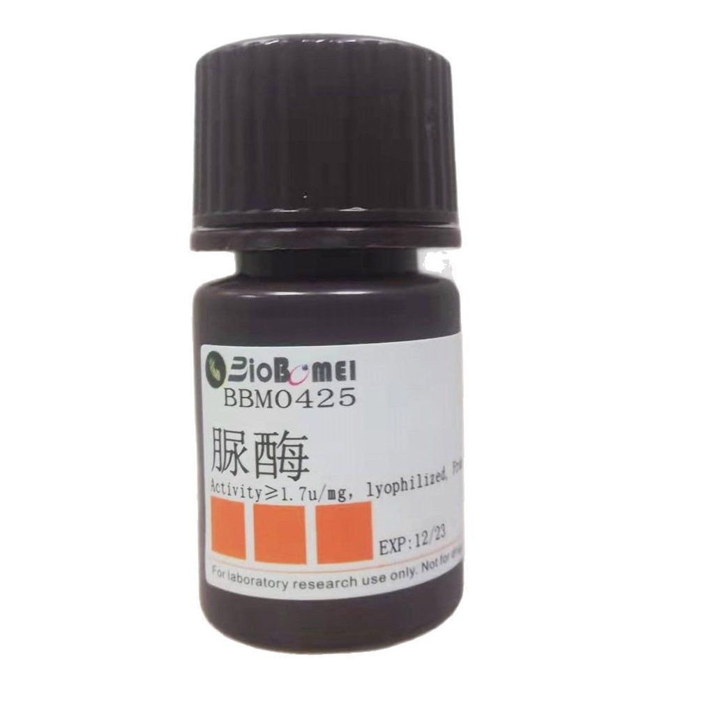 脲酶 / 尿素酶  ≥140u/mg  科研实验试剂CAS:9002-13-5