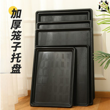 �����бP�Ӻ���ʺ�бP����\�бP���\�ױP�u؈�û\�ӽӼS�P���l