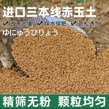 多肉盆景专用赤玉土三本线植物爬宠铺面石颗粒营养土跨境专供代发