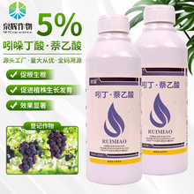 5%吲哚丁酸萘乙酸葡萄生根促根剂调节生长5%吲哚丁酸萘乙酸生根剂