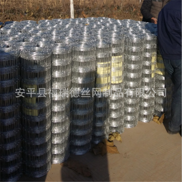 牛羊养殖网，防羊铁丝网，畜牧养殖网批发