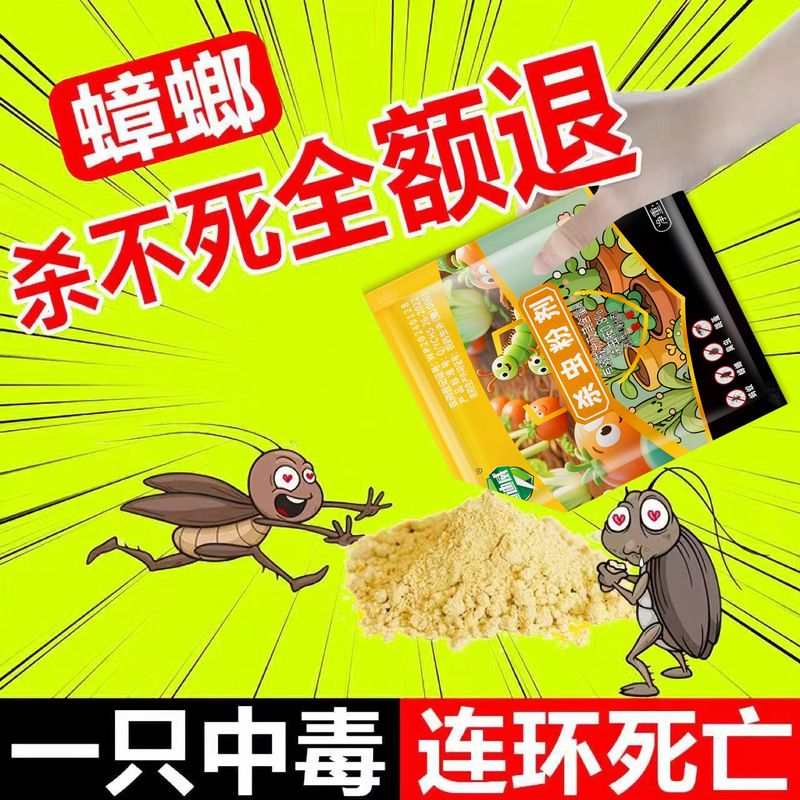 【ドロップシッピング】Didiwei ゴキブリ薬 ディニコルビン 0.8% 家庭用殺虫剤粉末 ゴキブリ駆除餌|undefined