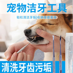 メーカー既製ペット歯クリーニングツールキットペット歯クリーニングツール歯石と歯石をきれいにします歯クリーナー