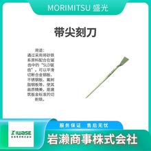 MORIMITSUʢ�� HCOT-0001 ������ �����Q�� �ྀ�Q