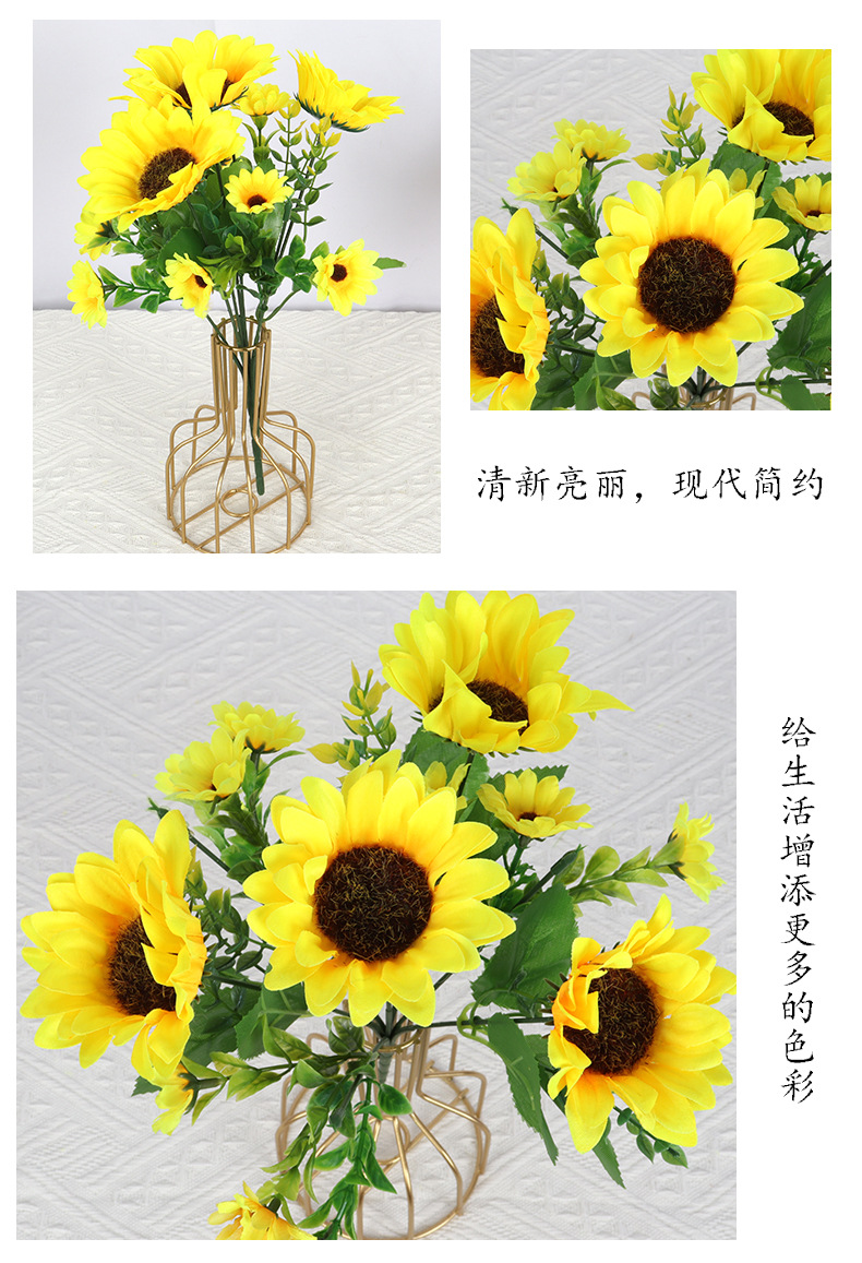 13头向日葵_03.jpg