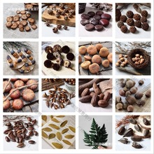 ɻlƬɻLɹɻС»޹DIY