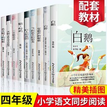 四年级下册课外阅读书白鹅白桦宝葫芦的秘密巨人的花园猫母鸡天窗