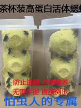 �̲豭�b���������������ͺ��J���������،m���ܠI�Bʳ��