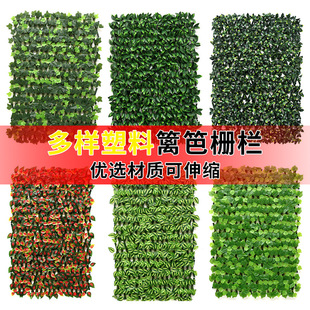 �羳����Gֲ�ř�ֲ��b���s�h���̨�����ړ��پG�~ͥԺ����