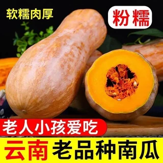 2025正宗云南新鲜老南瓜软糯香甜当季老品种小个辅食农家自种蔬菜