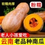 云南香甜正宗新鲜老南瓜