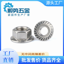 304����ַ�����ĸ �������� DIN6923��������ñ����