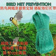 ���ƿ羳���@���B���x���o�W�Gֲ���o�Wpe���o�W���љ��ҹ�����B