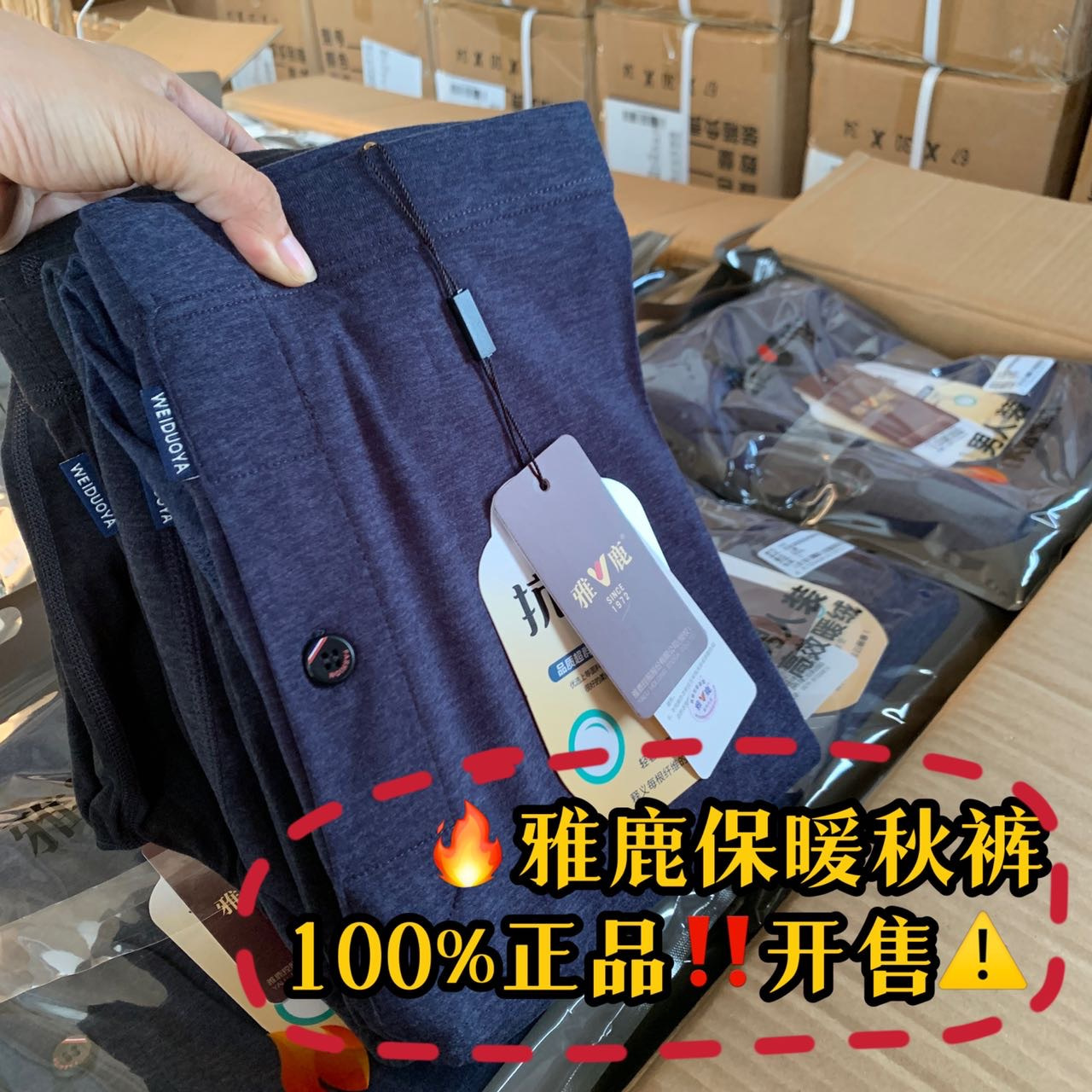 雅鹿男女保暖秋裤男款磨毛高弹打底裤线裤衬裤内穿女士保暖