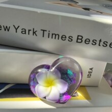 2025���¿��u����С����������ɳ耳׿�