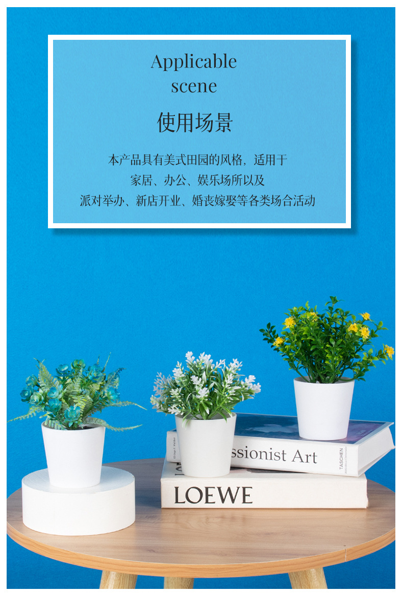 组合盆栽_12.jpg