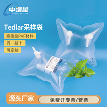 中谱星泰德拉气体采样袋杜邦Tedlar采样袋VOC检测PVF气味测试