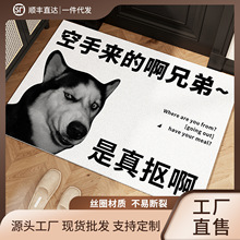 厂家定制新丝圈入户门地垫高级感进门玄关门入门垫支持一件拿样