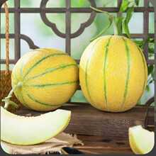 �����½��ϝh�Ͻ�y�۹������֭�����Ϯ������rˮ���½�ֱ�l