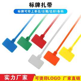 彩色标牌扎带标签式尼龙自锁扎带网线电线标记捆扎记号扎带可混装