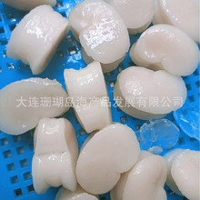 江珧贝柱 带子 江瑶贝 珧柱 腰子贝